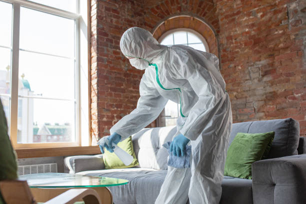 Why You Should Choose Our Mold Remediation Services in Bonsall, CA